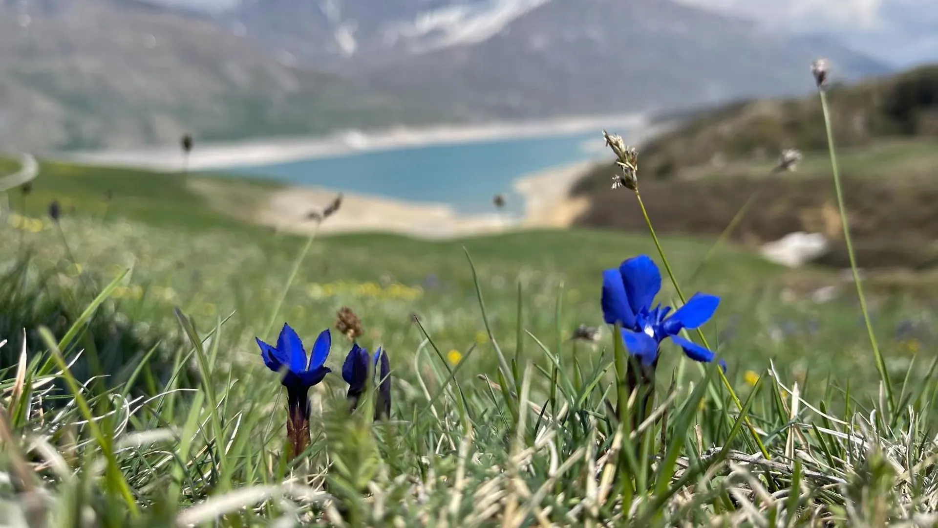 Apartment Aux Portes Du Parc National De La Vanoise Appartement Termignon Val Cenis Avec Wifi France